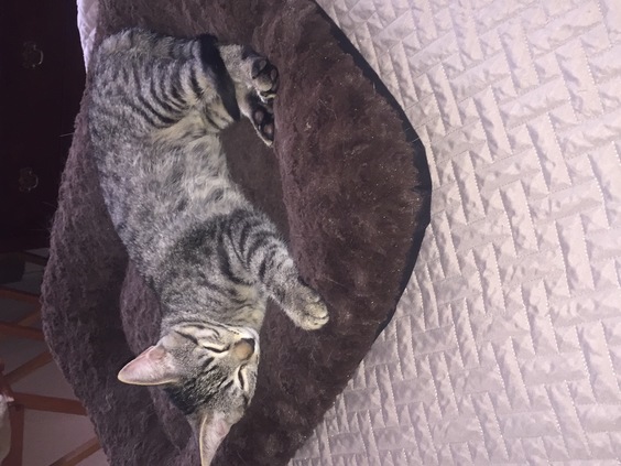 W dea00514 96aa 41a5 a92d 17432f97f0f7