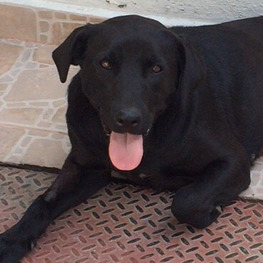 D b73aad97 a710 4b2a bf99 2c6153689f73