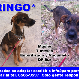 D bda6033d fbaa 47e0 9ebb 2fc94a944732