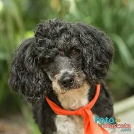 D 8045d9be 0ea8 4339 ba40 8aadcd545837