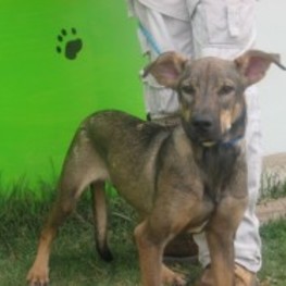 D 36d8ecc9 755e 45fb 8de6 7028db7eb460