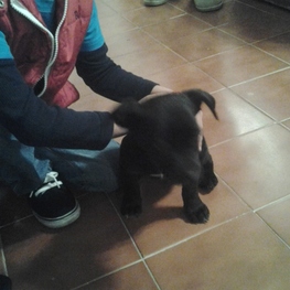 D 9b2c52c6 96af 4380 beb3 d493dcdaa2c0