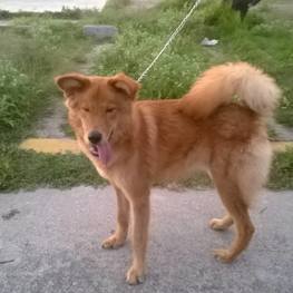 D 9ac1ff4f 6fef 4d87 bc49 cd80cc280bf2