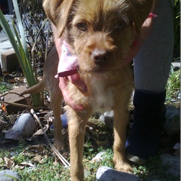 D f086be23 5ed1 4a38 a655 d07c3bfc5bfe