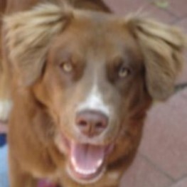 D 4df3bc88 3dfd 4be9 abbf 79a149dd445d