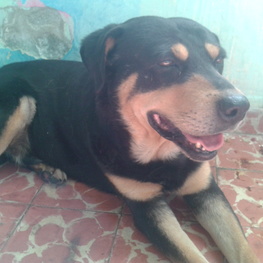 D 49ed63d9 a387 4a51 86ea db1b74186c6a