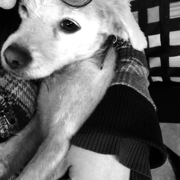 D 37f20410 4b37 493e 998a 176bc70542a5