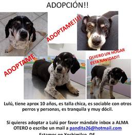 D 25942373 b4b1 409d b488 30ca06aaa288