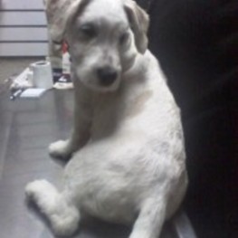 D dd461b97 8b8b 426b 8108 a75e71159fad