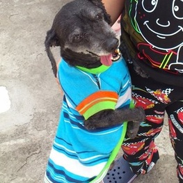 D 294cc7c3 50f6 49d3 8936 d37d67de49d3