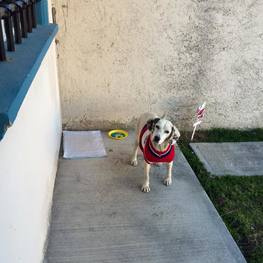 D 61c0f946 4983 4751 a89b 472d8cf4d707