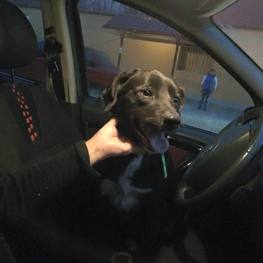 D f4f62ff1 2f90 4e6a 968b f019c58d8693