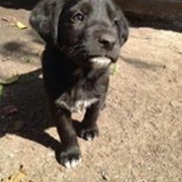 D 9e610441 916a 406f b404 241de4913cdb