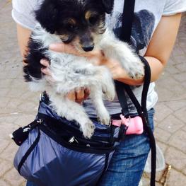 D 9f6529fb 1e4c 469d b275 00a2515bbabe