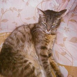 D b1d4a853 7cc6 42a1 b7ba 45d0db8d5db3