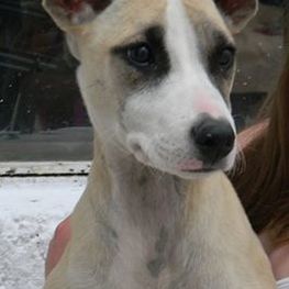 D 38e35ed3 2b76 4cbd bde5 d87c89e9f6c2