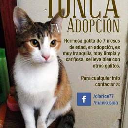 D d1dad5b9 4fbc 4029 b5c2 3a4331311cff