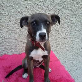 D 0811dcae 32ea 492e 93bc d2e4f2d67c22