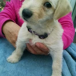 D c293c3ec 3d66 4db1 9467 27d2b4a42923