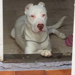 D db4aecb8 0306 45e6 996d fa8a73eb1efa