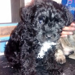 D ab2d3c22 1b85 43b6 9610 796b592bf1ee