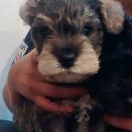 D aeade663 3ea1 4cb8 9155 f4fb1fd70608