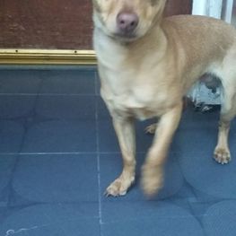 D 280d0b5c 6e46 4e62 84cb 6aa4e16fc886