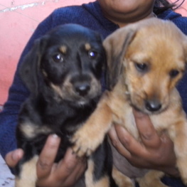 D 84172749 7705 4bd5 b56e d7506d8a1f14