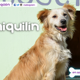 D 4a58fab0 51c5 423e 9125 e0b8c91a696b