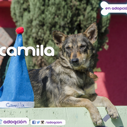 D 2f9eec14 f51d 47e3 b9e5 118cefed2136