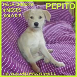 D 1e4ee21c 70e3 4193 a604 05232117dca2