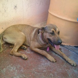 D 3f7e668a 01ee 4d81 a4d3 47448005ecd0