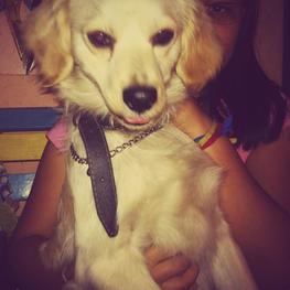 D 283e78ab acb4 4faf 9382 4fc56c751327