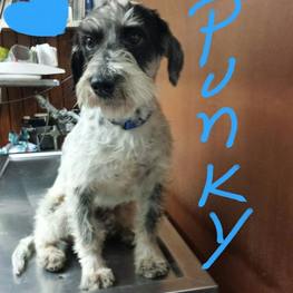 D 542be5c8 b104 4812 bec6 47bda0ea4d5f