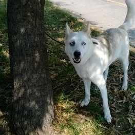 D 5ff3b637 a279 40bf ba81 279d4591889f