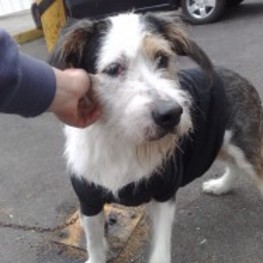 D 5c93691b 68f4 4abc ae6a 209efa699fb9