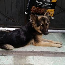 D 96fde499 87c2 44c8 ada8 8b15956ccfb4