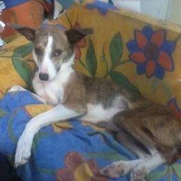 D b1444e2f 699d 4031 be7e 93492ef0f0aa