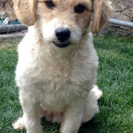 D 69481686 9c8c 458a a970 d60be7e4b09b