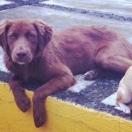 D 1b95a861 bc2b 4dc9 a686 971cf97c6126