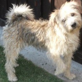 D 6542465b f659 4623 b0d9 9f692723de89