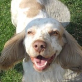 D 61de1cd7 0913 43df a364 619c65769fcb