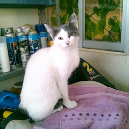 D 1c1c9749 26eb 4430 a8c1 214e0a453499