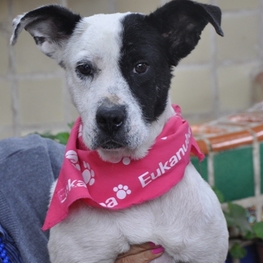 D 2a551909 8b5c 47c5 93f0 7c97d1f6b963