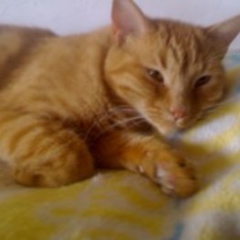 D 37ea140d 50e6 48d3 b305 7a5bc2225648