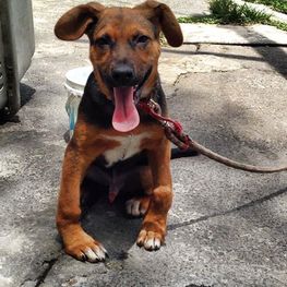 D f09ea448 4070 434e 9b39 68f11e668d94