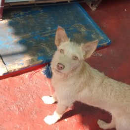 D 9c19ebce 13e9 49a3 8680 5f0a40b76a1d