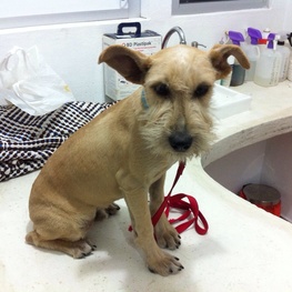 D e742888c 0cf2 49d2 bf6b 9828b5f82ac0