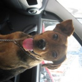 D bb3aebc0 0b96 42cb 9f32 95ebc2e650af