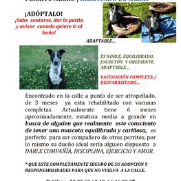 D 96ef6b2d 6a60 4b47 b074 567279ca4f78